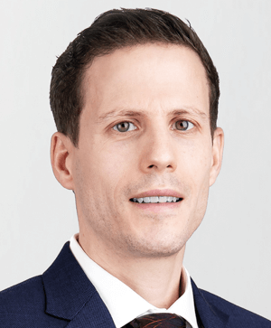 Michel Verde
